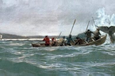 La crueldad como animalización de “Los cazadores de ballenas en la literatura chilena”